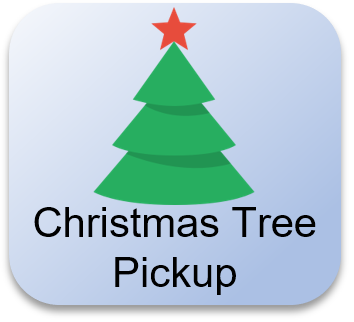 Christmas Tree Pickup