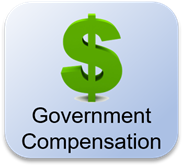 Government Compensation